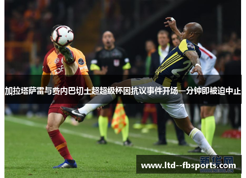 加拉塔萨雷与费内巴切土超超级杯因抗议事件开场一分钟即被迫中止 加拉塔萨雷与费内巴切土超超级杯因抗议事件开场一分钟即被迫中止