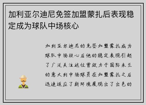 加利亚尔迪尼免签加盟蒙扎后表现稳定成为球队中场核心