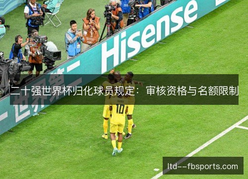 二十强世界杯归化球员规定：审核资格与名额限制